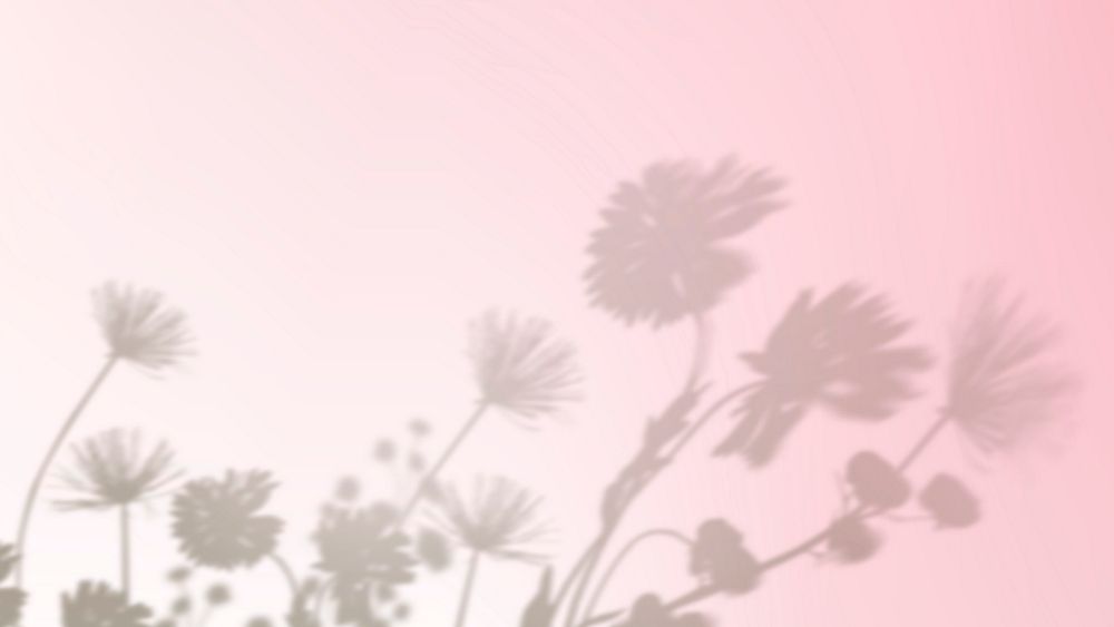 Aesthetic flower shadow background in pink gradient