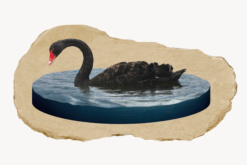 Black swan, ripped paper collage element