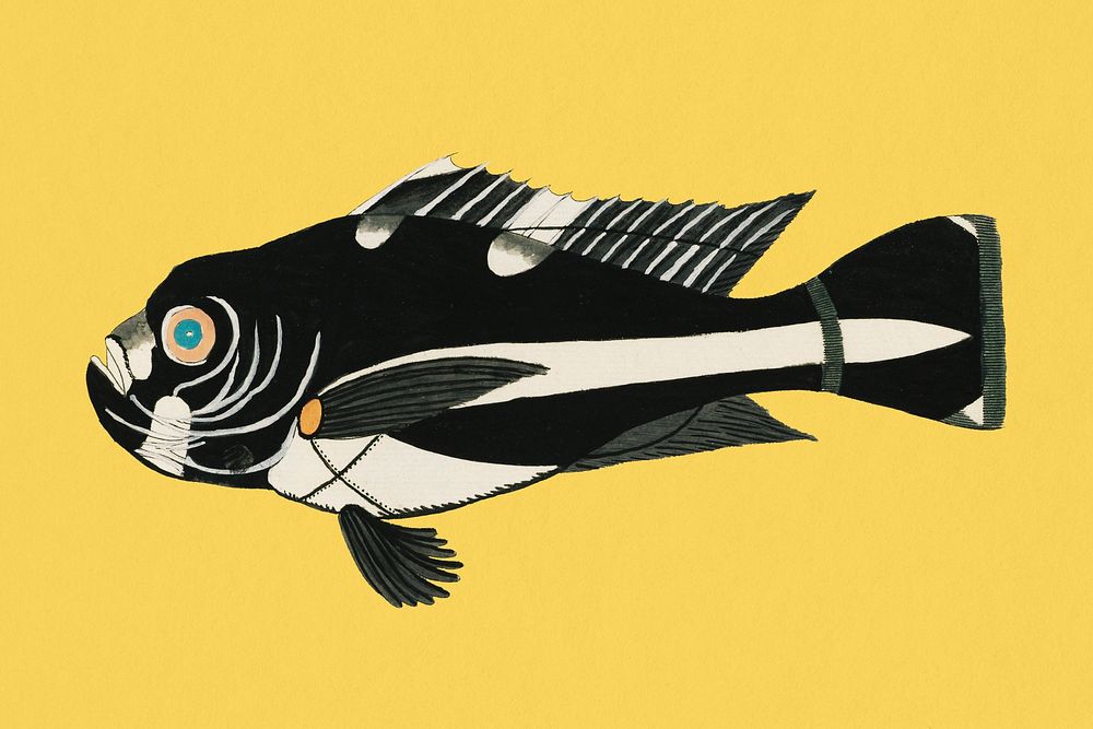 Vintage fish background, Macalor, aquatic animal illustration, remix from the artwork of Louis Renard