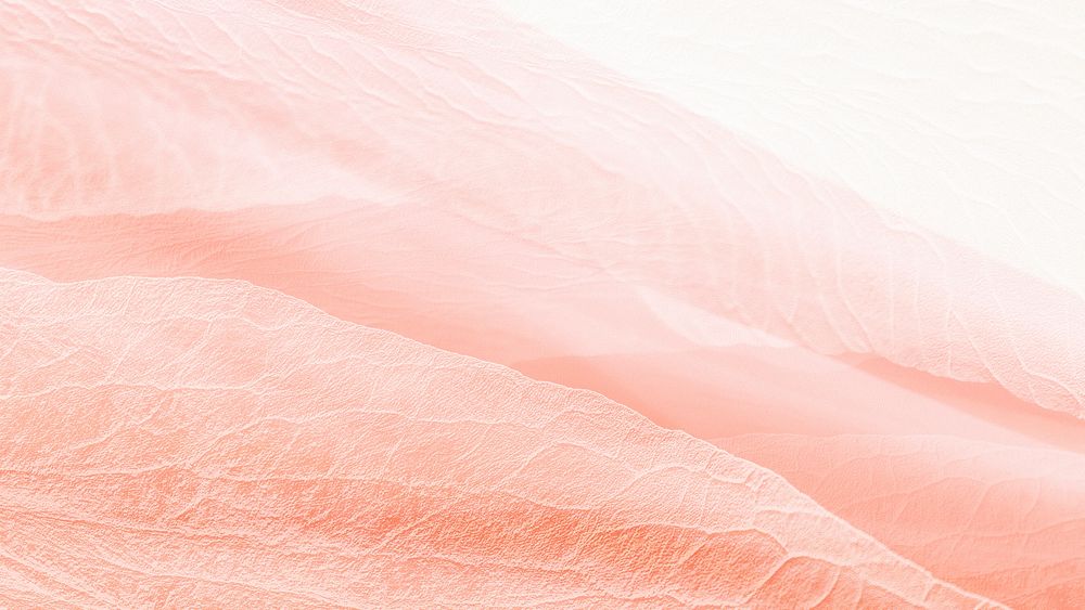 Peach petal texture background for blog banner