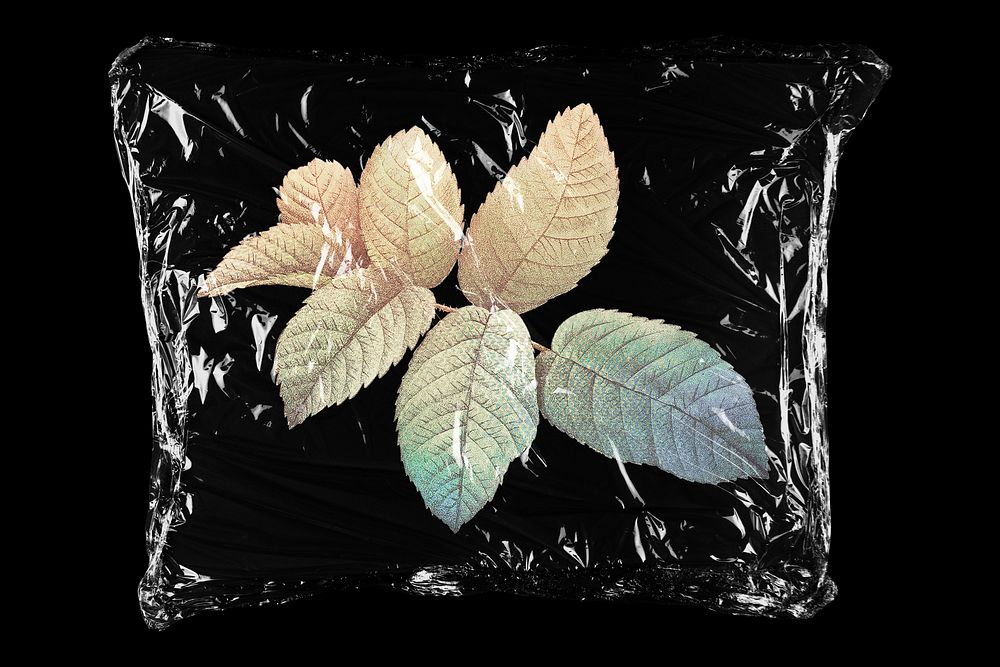 Dried gradient leaf in plastic bag, Autumn creative concept art