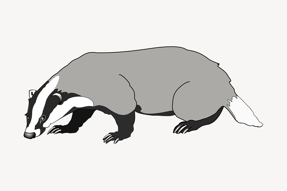 Badger, animal clipart, illustration psd. Free public domain CC0 image.