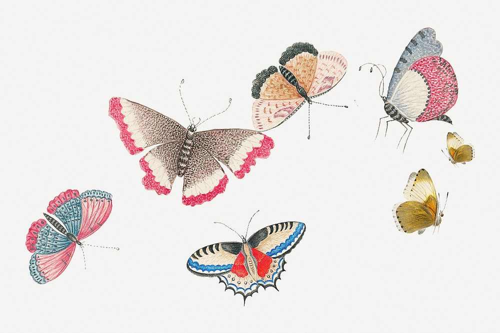 Flying butterflies, vintage insect illustration psd