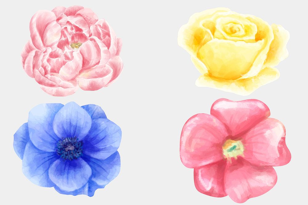 Watercolor blooming flowers vector floral illustration collection