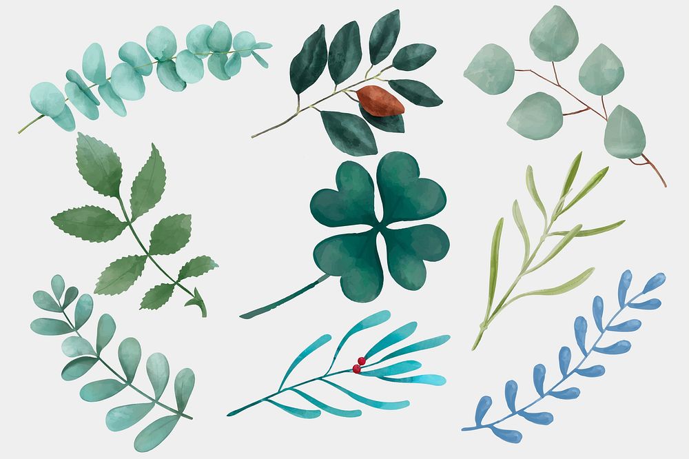 Green leaves watercolor drawing set