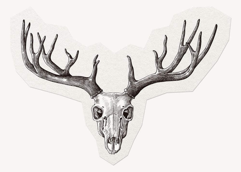 Animal skull, deer antler sticker collage element clipart