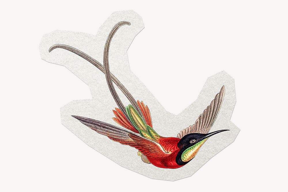 Vintage bird illustration clipart sticker, paper craft collage element