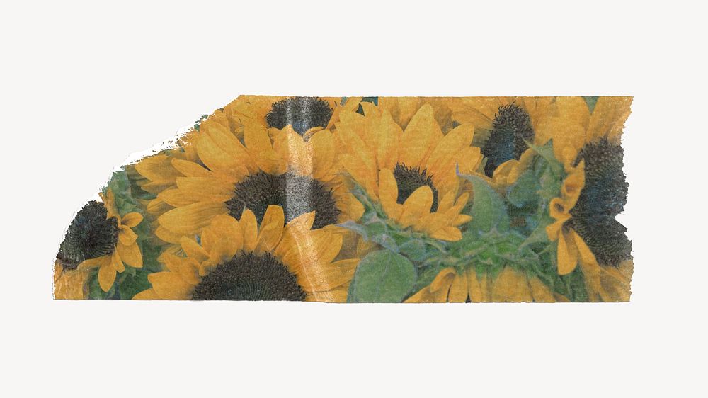 Sunflower washi tape design on white background