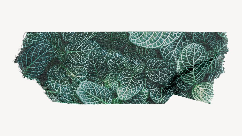 Green leaves washi tape design on white background