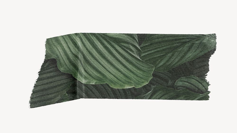 Botanical washi tape design on white background