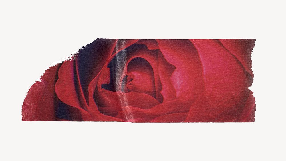 Red rose washi tape design on white background