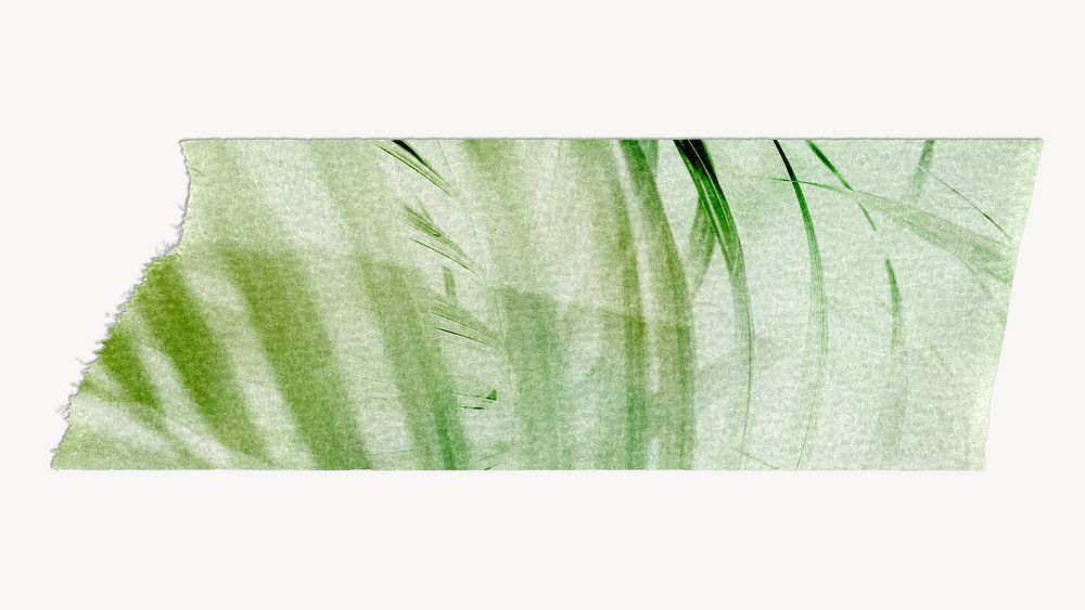 Botanical washi tape design on white background