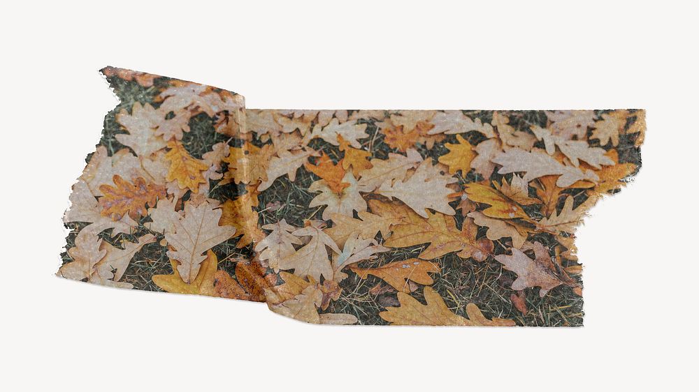Autumn leaves washi tape design on white background