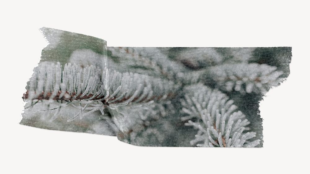 Christmas tree washi tape design on white background