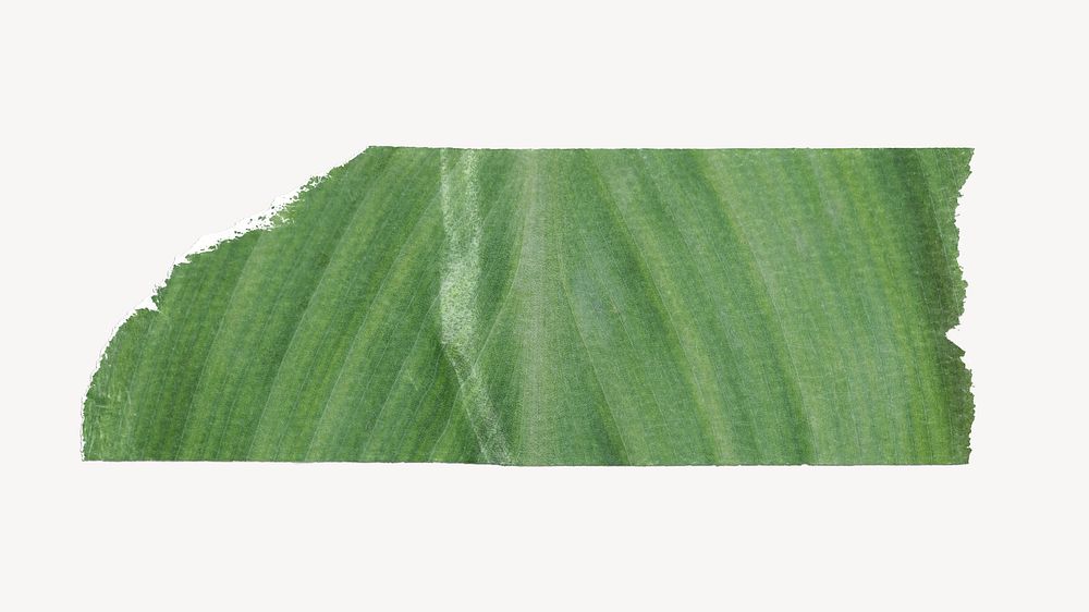 Green leaf washi tape design on white background