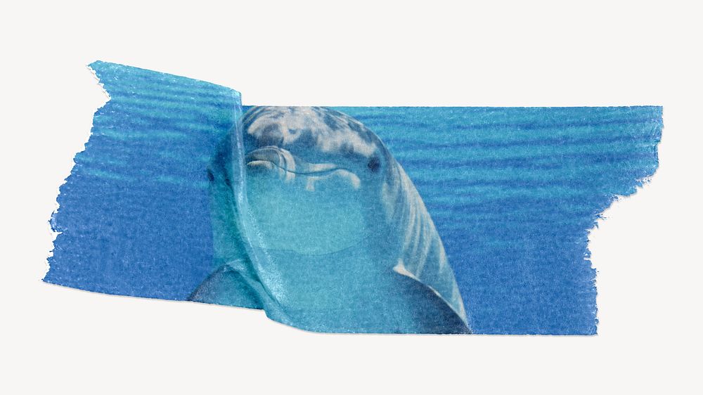 Dolphin washi tape design on white background