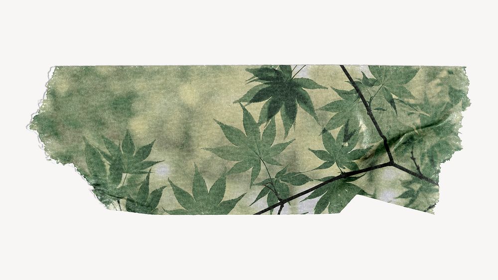Leaves washi tape design on white background