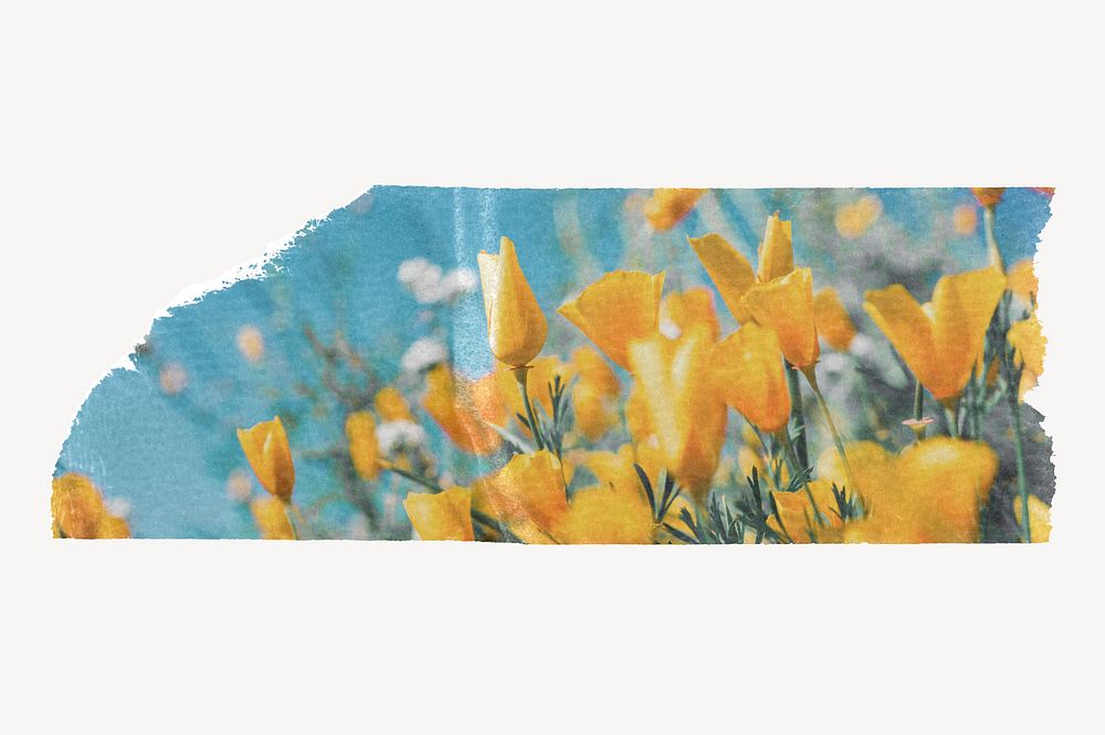Yellow flower washi tape design on white background