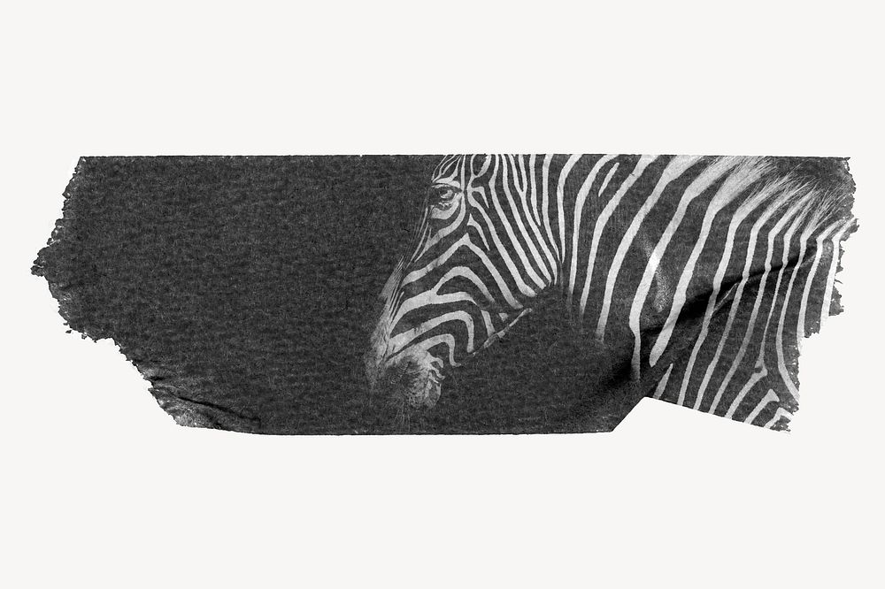 Zebra washi tape design on white background