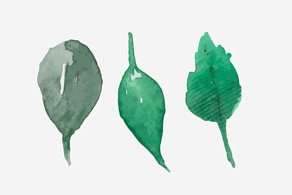 Hand drawn green leaf watercolor decorative set