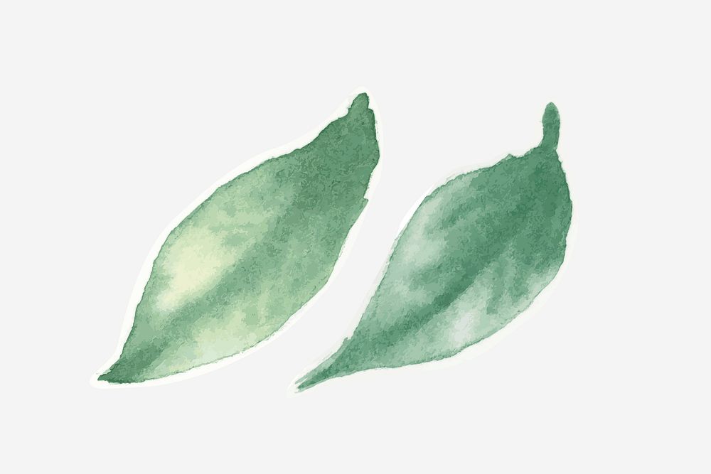 Hand drawn green leaf psd watercolor decorative collection