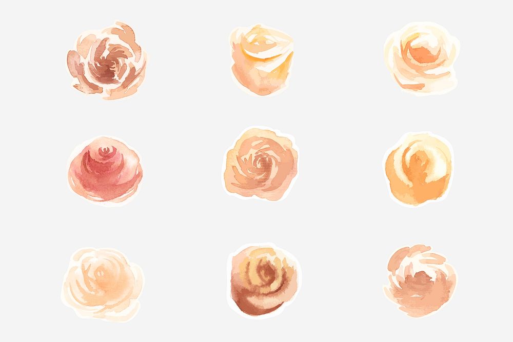 Hand drawn roses watercolor decorative collection