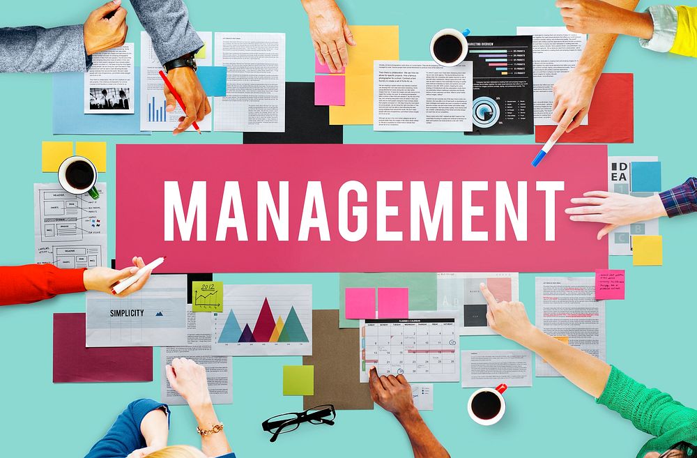 Management Mentor Organization Strategy Roles Concept