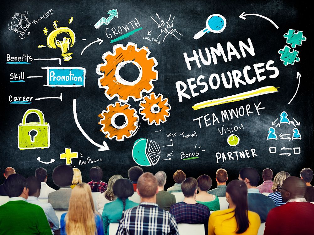 Human Resources Employment Teamwork Study Education Learning Concept