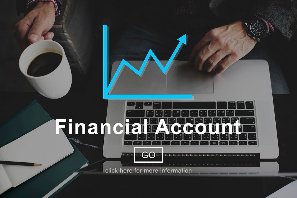 Financial Account Report Finance Record Online Concept