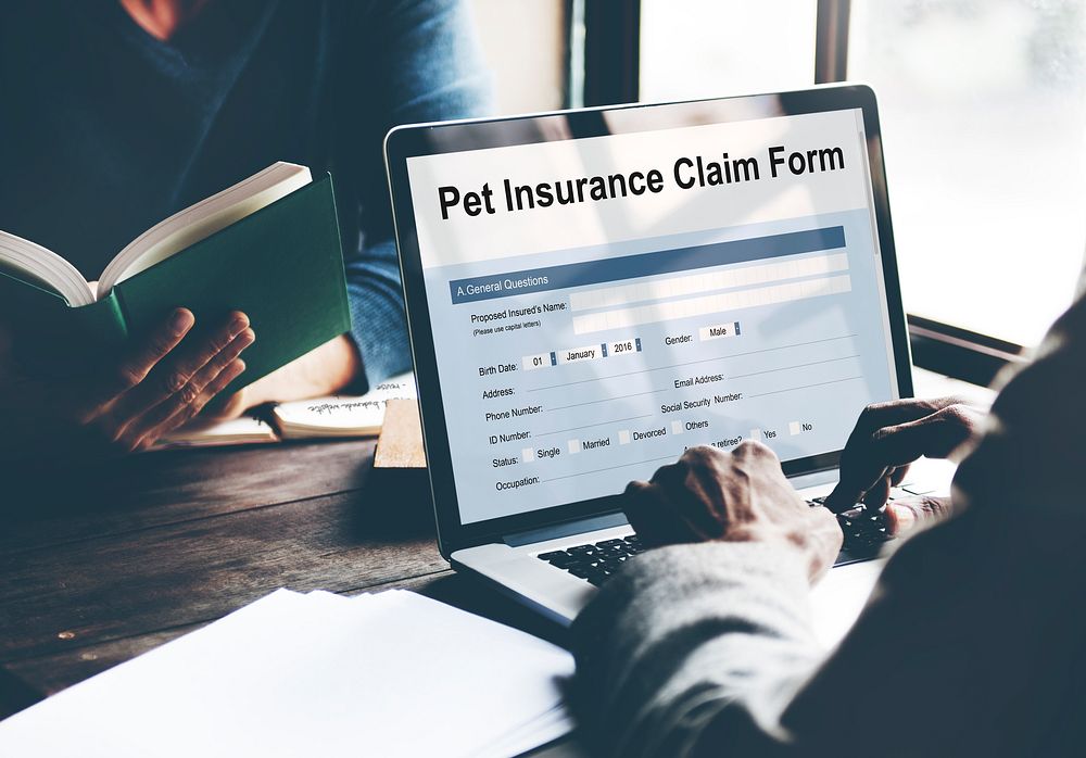 Pet Insurance Claim Form Concept