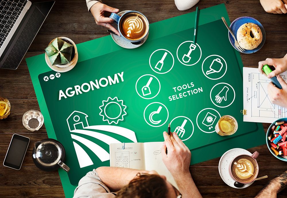 agronomy, aerial view, agriculture, analysis