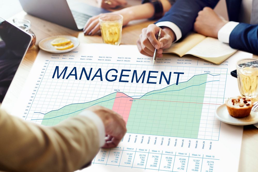 Management Analysis Graphs Business Marketing Goals concept