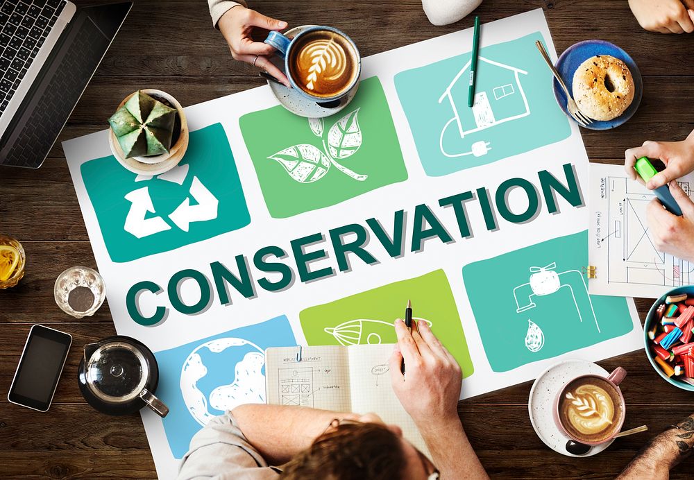 Environmental Conservation Life Preservation Protection Growth Concept