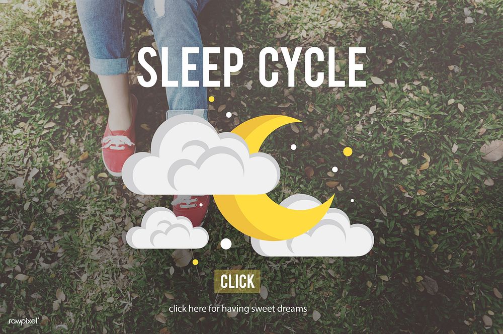 Sleep Cycle Human Sleeping Resting Concept