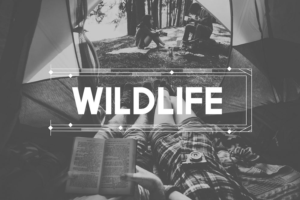 Wildlife Adventure Journey Camping Lifestyle Concept