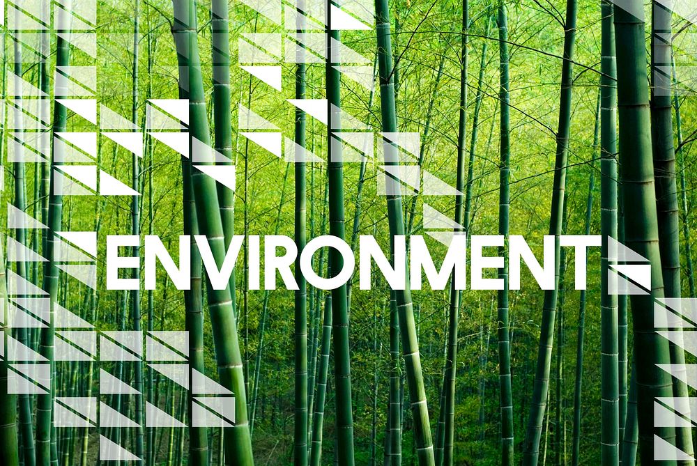 Go Green Business Environment Conservation Environmentalist Concept