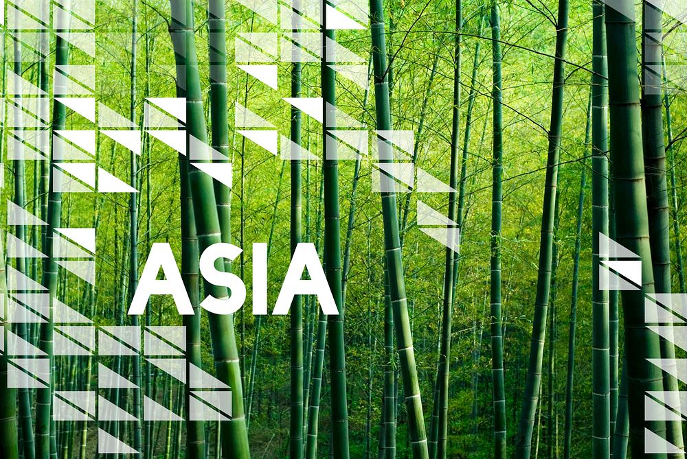 Bamboo Forest Asia Asian Country Concept