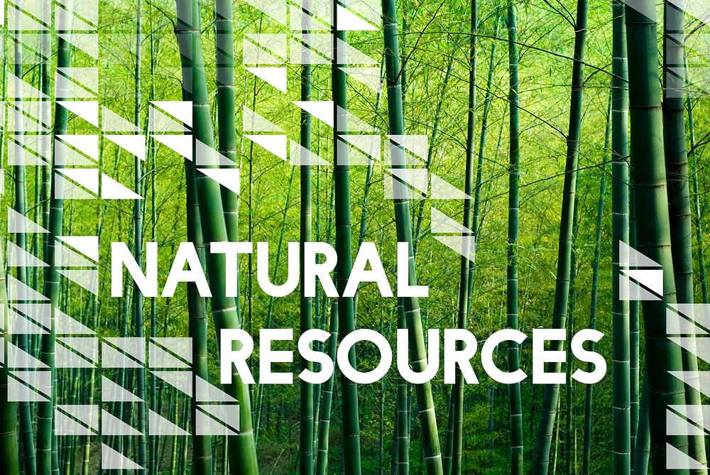 Nutural Environment Resources Nature Plants Concept