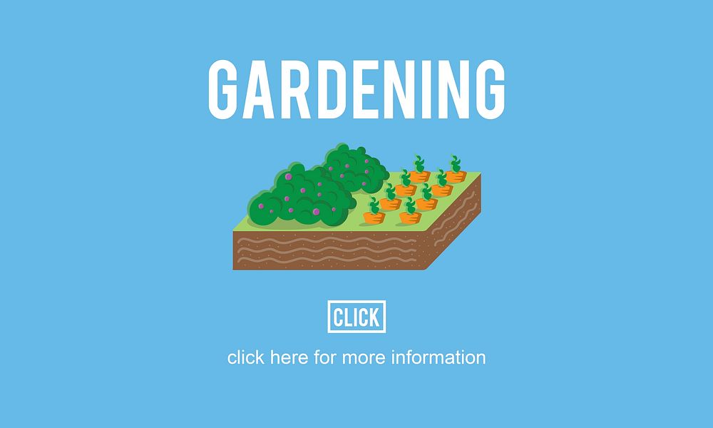 Gardening Garden Farm Plant Planting Concept