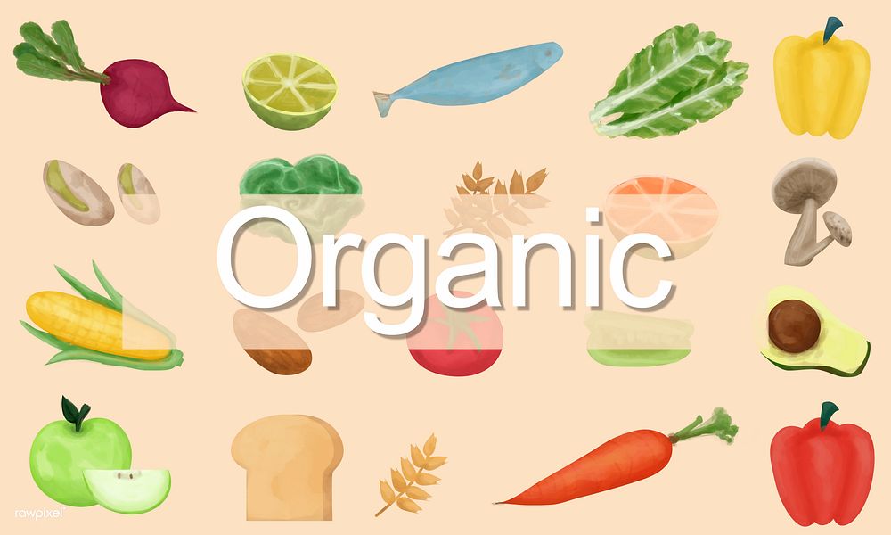 Organic Nutrition Nature Ingredients Agriculture Concept