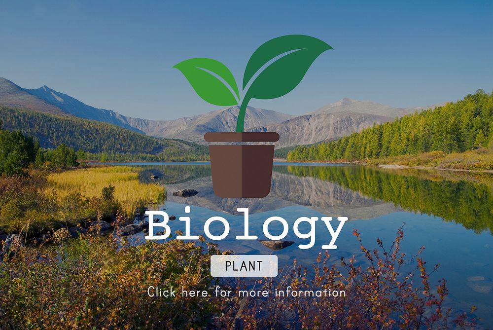 Biology Science Environmental Conservation Nature Concept
