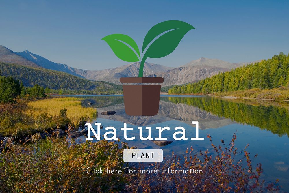Natural Plants Nature Environment Word Concept
