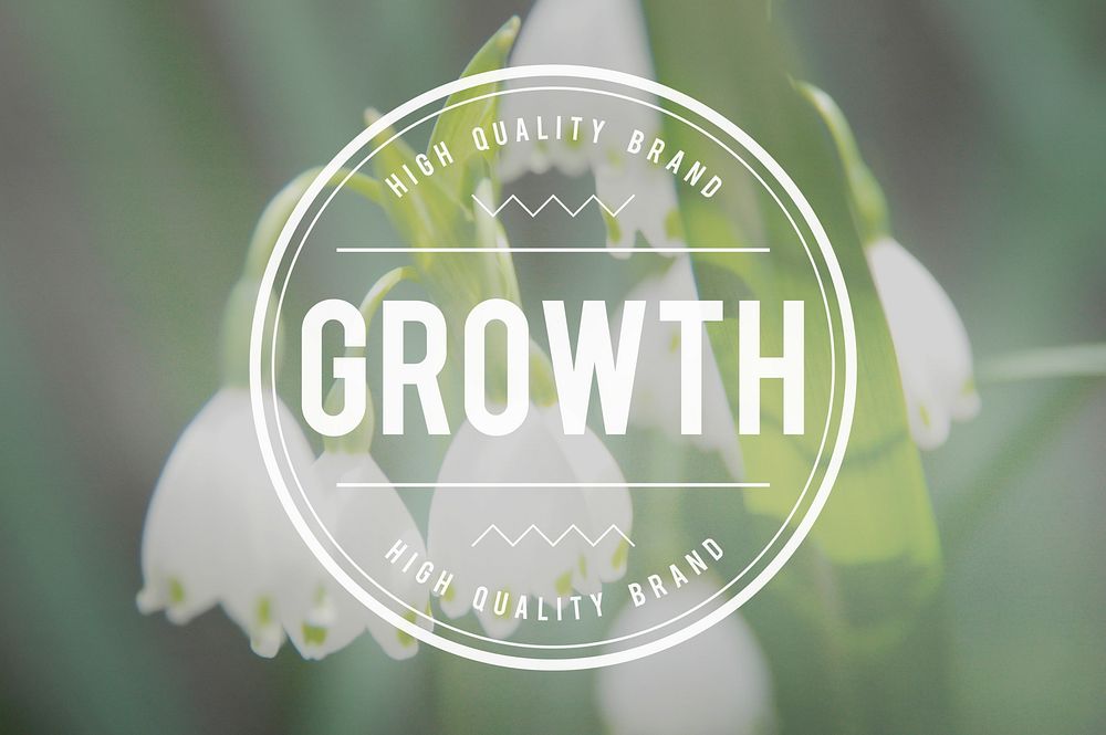 Grow Strategy Success Growth Increase Concept