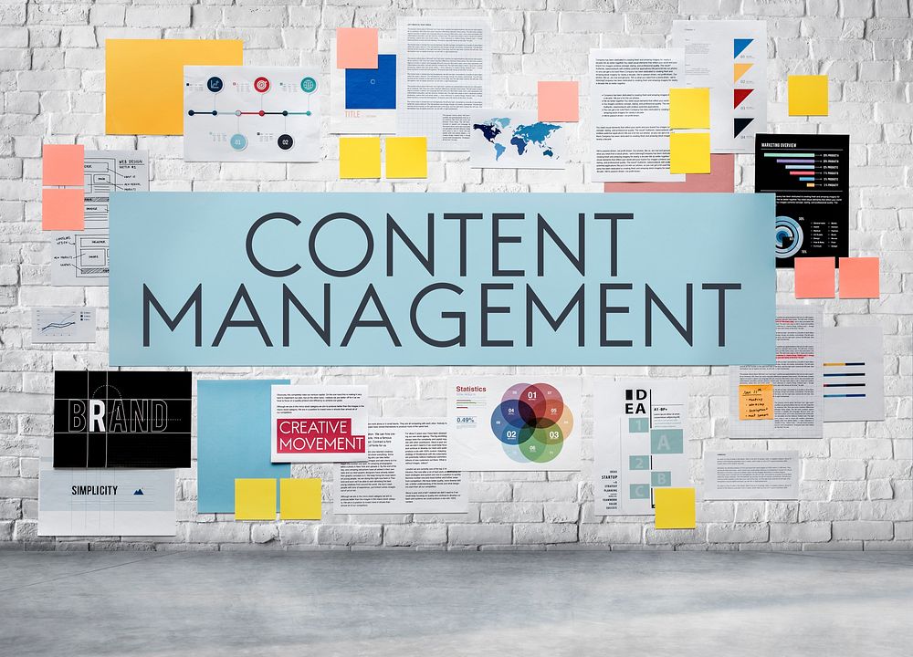 Content Management Social Media Networking Programming Concept