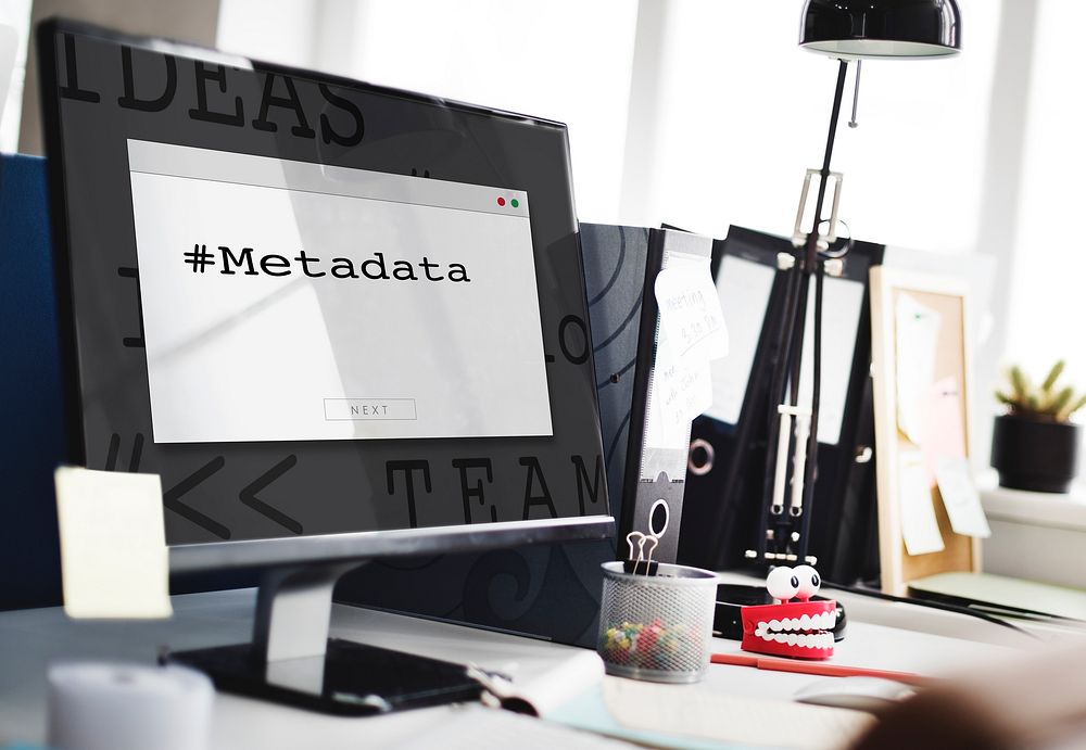 The User Connect to Metadata Computer Programming
