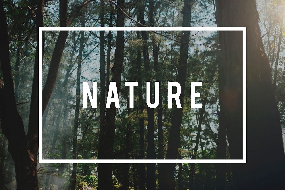Nature Relax Recreation Freedom Concept