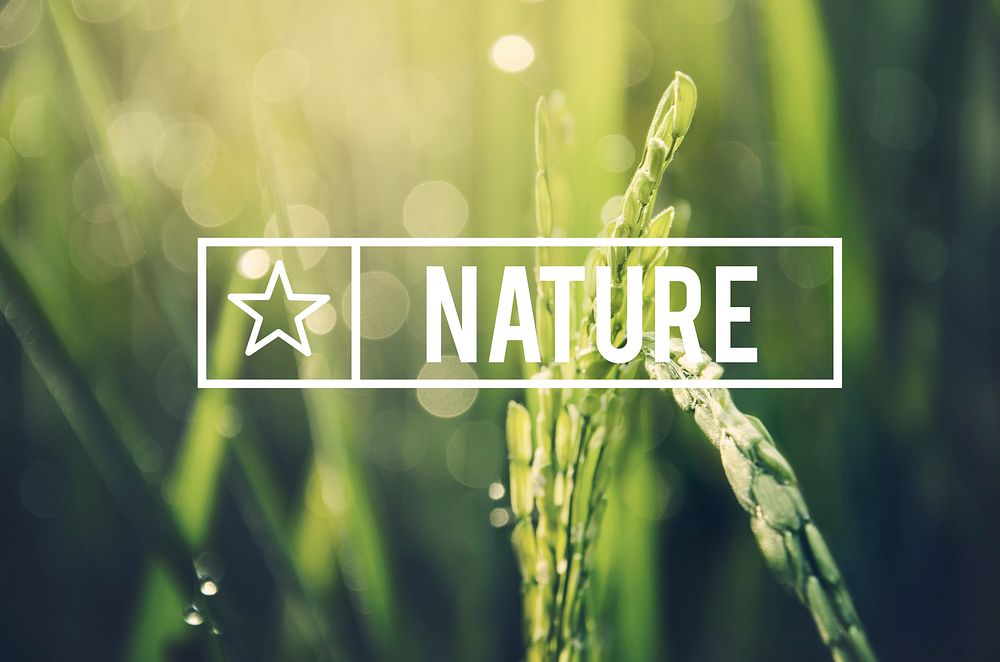 Alternative Farming Sustainable Nature Concept