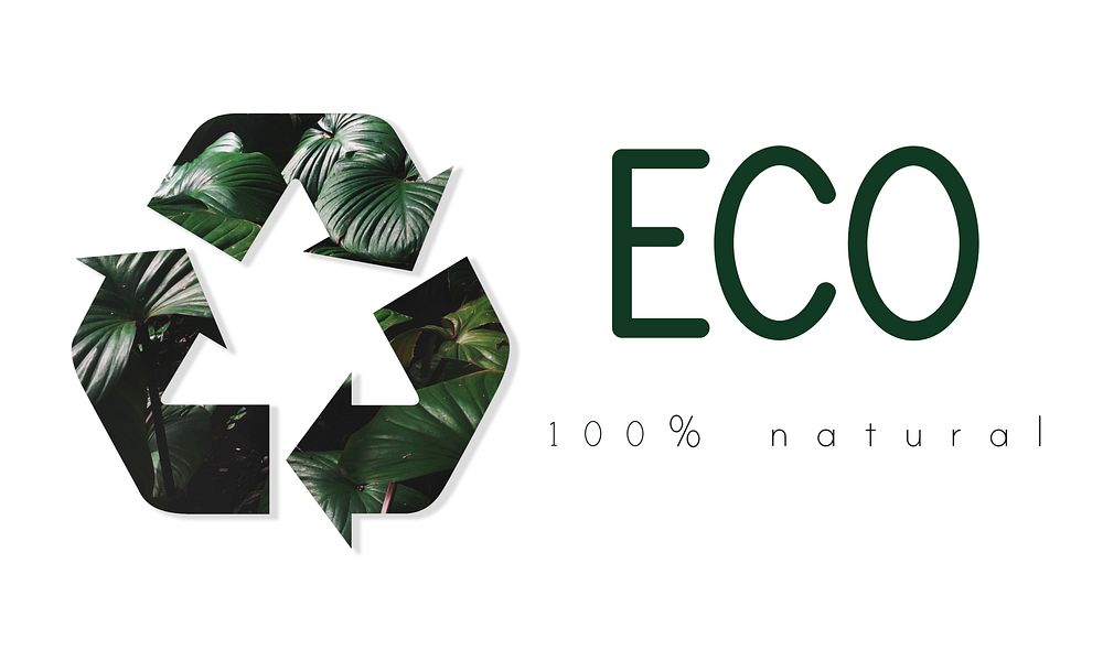 Recycle Environmental Conservation Nature Ecology