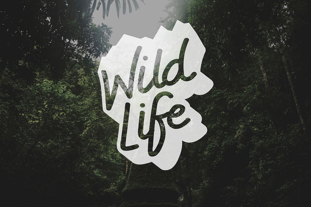 Wild Lifestyle Word Banner Artwork
