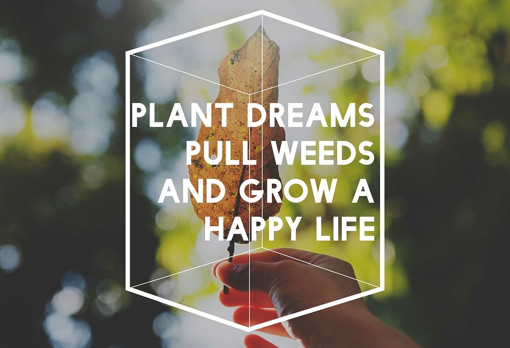 Life motivation inspiratin positive vibes quote on nature leaf background